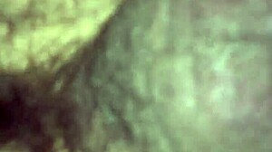 willy and jesse with matthew