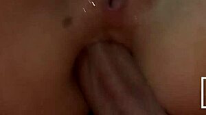 Holly West's Pussy and Ass Stuffed by Cyrus King