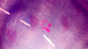 Horny Desi Gay Guy Wants His Tight Ass Fucked Bareback