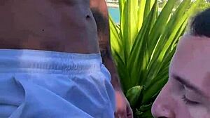 Cruising Nas Praias Do Brasil