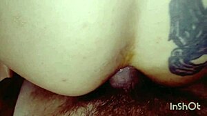 Couple Enjoys Intense Assfucking