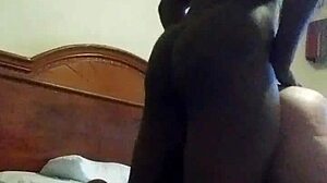 Black shemale pounds Latino guy