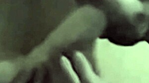 Can Lionel Hearts Swallow The 25Cm Toy In His Big Mouth?