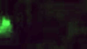 Franckydee Teases With Small Dildo Sucking Before Taking In Mouth