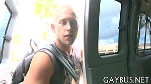 Gay sex in short clips