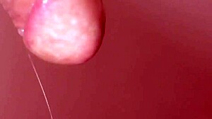 You should know my parents will be out of town