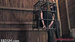 I enjoy playing free sadomasochism games.