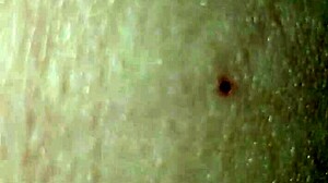 Bretts cock in transsexual deepthroat scene