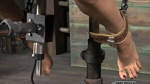 Free sadomasochism erotica stories