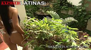 Wild hardcore sex with curvy latina woman