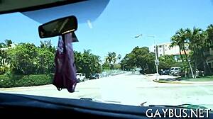 Gay POV Blowjob Sucking