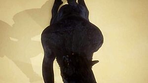 Pov two gay wolves fucking - wildlife.