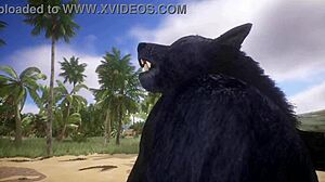 Pov two gay wolves fucking - wildlife.