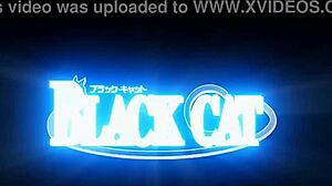 Black cat cap 1