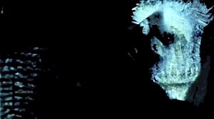 Check out Dark Lantern's two centuries of vintage porn.