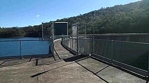 asian slut jj masturbating on a dam