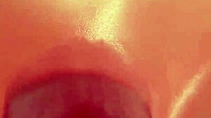 futanari rules the hentai anime world