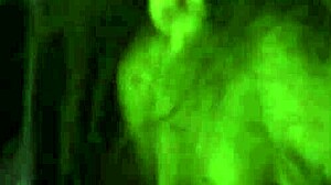 The lightskin amateur is doing a close up blowjob