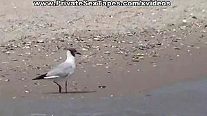 is your blonde gf this raunchy in holiday fucks?