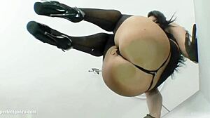 Madison Parker Receives Intense Anal Sex In Perfect Gonzo Style From Ass Traffic