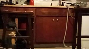 girlfriend pov compilation of sexy homemade fetish moments