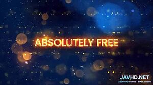 Japanese beauties in lingerie show legs and stockings