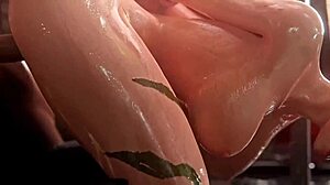 stf cammy compilation 11 3d anime hentai fucking