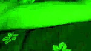 ब्लैक लंड ग्रैनी के स्किनी गैंड को चौड़ा फैलाता है