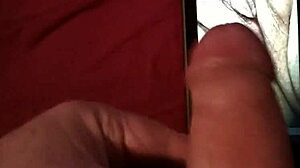 Tribute for cyberdebb with vagina and penis