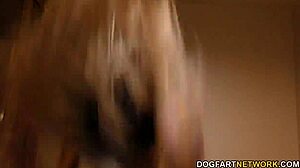 Haley Reed's Pink Cunt Gets Pounded Hard By Huge Bbc!