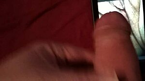 Tribute for cyberdebb with vagina and penis