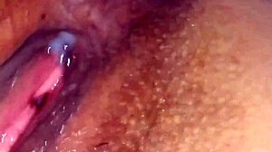 Casero Con Mexicana Caliente