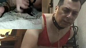 using two plump dildos on two cameras