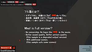 Uncensored Hentai Teletha Tessa Testarossa Loses Virginity Hardcore.