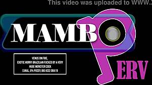 Venus on fire exotic horny brazilian fucked by a very huge monster cock anal!