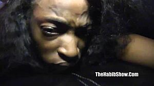 Houston freaky 5 nelli safarri tiger kimberly buggati sheli ice strip