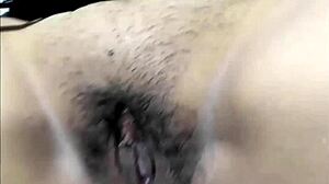 chupando vagina mojada