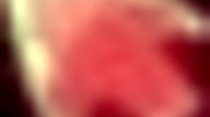 honeysun says, 'let's walkthrough this hgame with blowjobs'