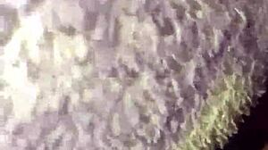 i licked my niece's pussy while she slept