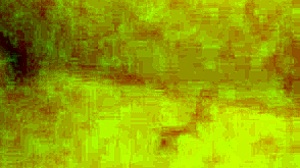 Did you see me get fucked by a Latina shemale?