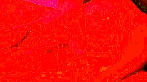 novinha de 18 aninhos ninfomaniaca se masturba e goza muito