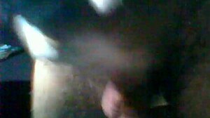 Hairy dick masturbation with intense stroking and cumshot in mp4!