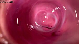 Camera Inside My Horny Creamy Pussy Close Up Roleplay Gaping Wet Vagina