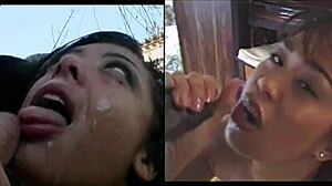 Pretty girl sucking cock leading to messy facial insanity