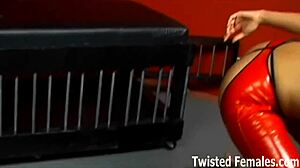 you're nothing but trash to me, get ready for humiliating femdom punishment