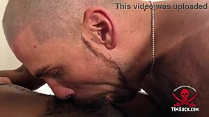 Parker sucks big black monster cock good