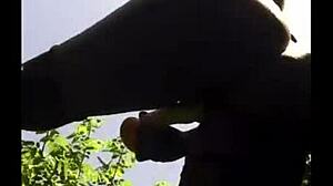 flexible ebony pussy fucked outdoor in gym secretary scene