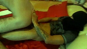 Young guys tear into intense gay fucking in hotel motel with endowed negro action