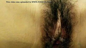 Licking My Wife's Pussy