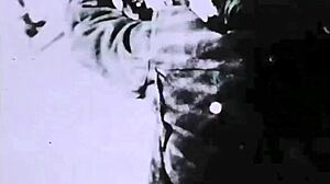 interracial taboo chocolate and ginger fuck in vintage style